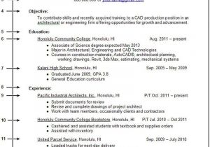 Work Experience In Resume Samples Resume for First Job No Experience How to Write A Resume