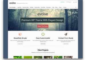 Worpress Template 30 Beautiful Free WordPress Portfolio themes 2017