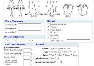 Wound Chart Template Wound assessment Template Pictures to Pin On Pinterest