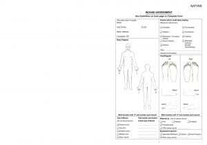 Wound Chart Template Wound Documentation Example Iancconf Com