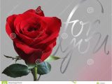 Write Name On Anniversary Card Greeting Card with Rose Stock Photo Image Of Anniversary