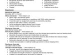 Xlri Student Resume Resume format Used In Usa 2resume format T Sample