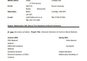 Year 10 Student Resume Cv Template or Sample