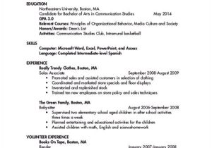 Year 12 Student Resume Be Skillful In Writing College Student Resume