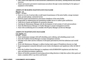 Young Engineer Resume Maintenance Manager Resume Resume Sample