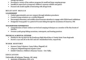 Youth Counselor Sample Resume Camp Counselor Resume Sample Writing Tips Resume Companion