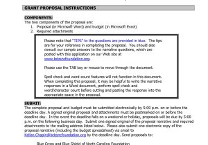Youth Program Proposal Template 9 Best Images Of Youth Program Proposal Template Project