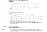 Youth Sample Resume Youth Services Coordinator Resume Youth Coordinator Resume