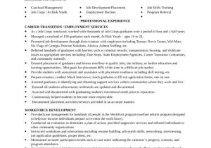 Youth Services Sample Resume Functional Youth Specialist Resume Template