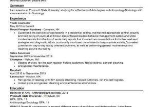 Youth Services Sample Resume Youth Counselor Resume Sample Resumes Misc Livecareer