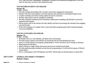 Youth Services Sample Resume Youth Counselor Resume Samples Velvet Jobs