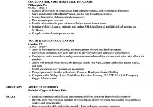 Youth Services Sample Resume Youth Services Coordinator Resume Youth Coordinator Resume