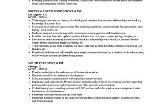 Youth Services Sample Resume Youth Specialist Resume Samples Velvet Jobs
