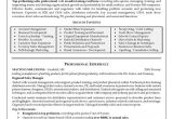 Zonal Manager Resume Sample Regional Manager Resume Printable Planner Template
