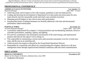 Zonal Manager Resume Sample Resume Of area Sales Manager Facebookthesis Web Fc2 Com