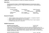 Zoology Student Resume Zoology Resume Examples Examples Resume Resumeexamples