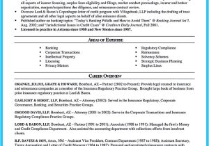 Zsa Sample Resume attorney Resume Representative Transactions